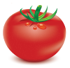 Tomate